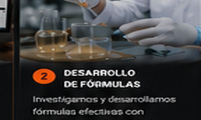 Desarrollo de fórmulas